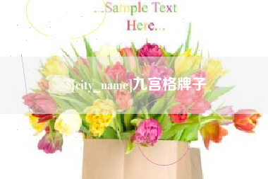 黔东南九宫格牌子