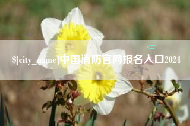 黔东南中国消防官网报名入口2024