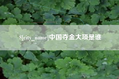 黔东南中国夺金大项是谁
