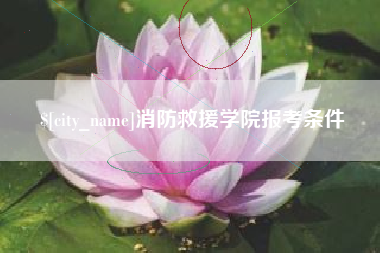 黔东南消防救援学院报考条件