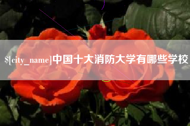 黔东南中国十大消防大学有哪些学校