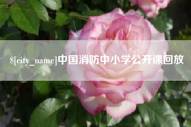 黔东南中国消防中小学公开课回放