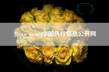 黔东南中国执行信息公开网