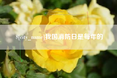 黔东南我国消防日是每年的