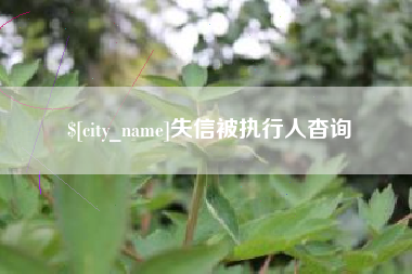黔东南失信被执行人杳询