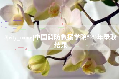 黔东南中国消防救援学院2020年录取结果