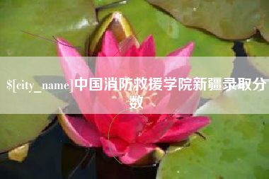 黔东南中国消防救援学院新疆录取分数