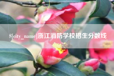 黔东南浙江消防学校招生分数线