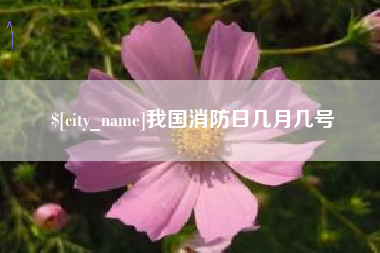 黔东南我国消防日几月几号