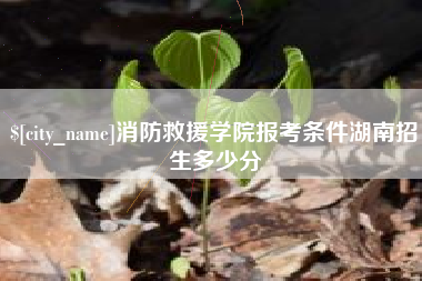 黔东南消防救援学院报考条件湖南招生多少分