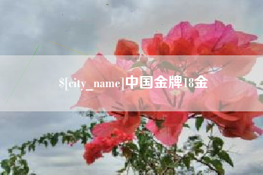 黔东南中国金牌18金