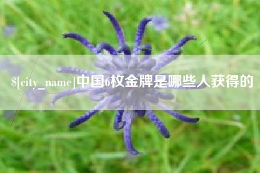 黔东南中国6枚金牌是哪些人获得的