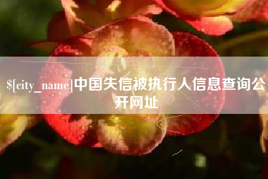 黔东南中国失信被执行人信息查询公开网址