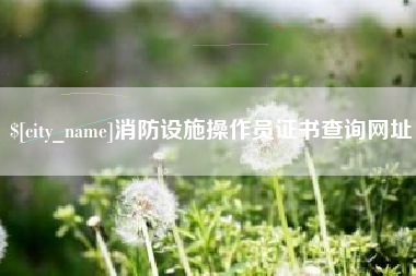 黔东南消防设施操作员证书查询网址