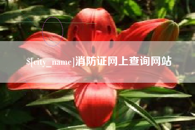 黔东南消防证网上查询网站