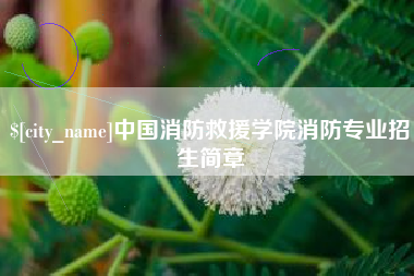 黔东南中国消防救援学院消防专业招生简章