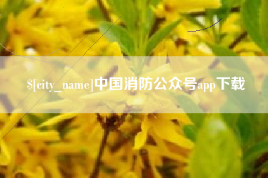 黔东南中国消防公众号app下载