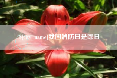 黔东南我国消防日是哪日