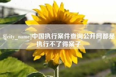 黔东南中国执行案件查询公开网都是执行不了得案子