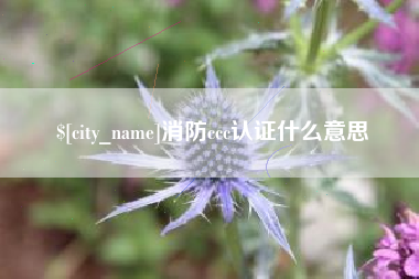 黔东南消防ccc认证什么意思