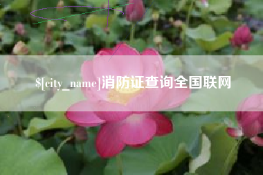 黔东南消防证查询全国联网