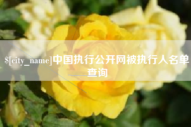黔东南中国执行公开网被执行人名单查询