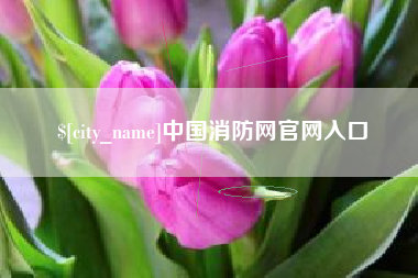 黔东南中国消防网官网入口