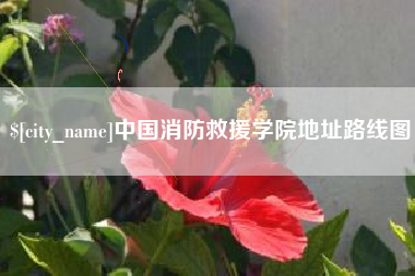 黔东南中国消防救援学院地址路线图