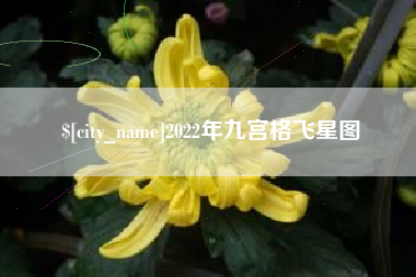 黔东南2022年九宫格飞星图