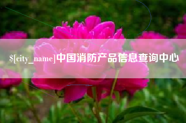 黔东南中国消防产品信息查询中心