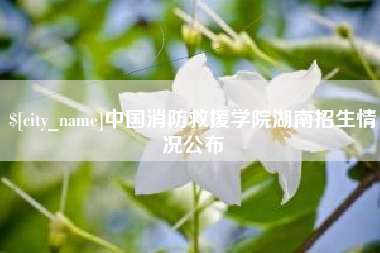 黔东南中国消防救援学院湖南招生情况公布