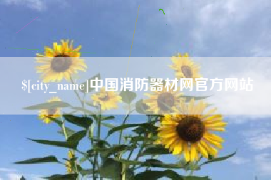 黔东南中国消防器材网官方网站