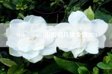 黔东南中国的几块金牌2021