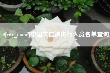 黔东南中国失信被执行人员名单查询