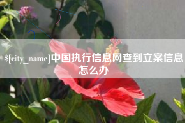 黔东南中国执行信息网查到立案信息怎么办