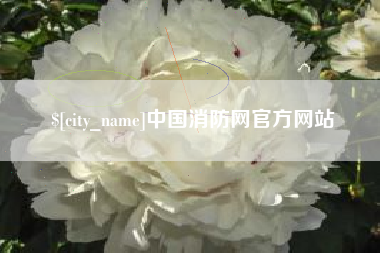 黔东南中国消防网官方网站