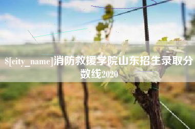 黔东南消防救援学院山东招生录取分数线2020