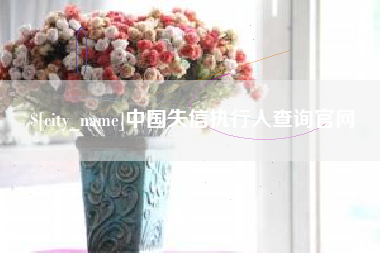 黔东南中国失信执行人查询官网