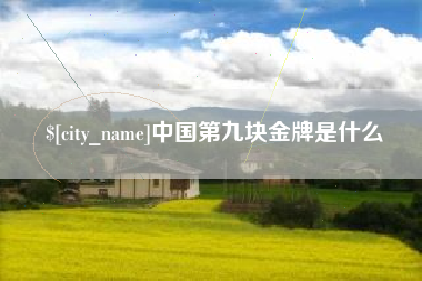 黔东南中国第九块金牌是什么