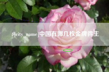黔东南中国有哪几枚金牌得主