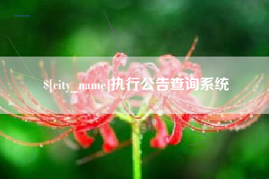 黔东南执行公告查询系统