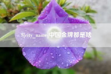 黔东南中国金牌都是啥