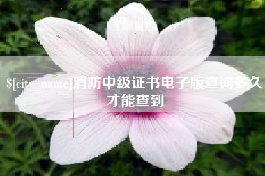 黔东南消防中级证书电子版查询多久才能查到