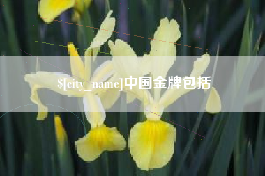 黔东南中国金牌包括