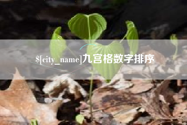 黔东南九宫格数字排序