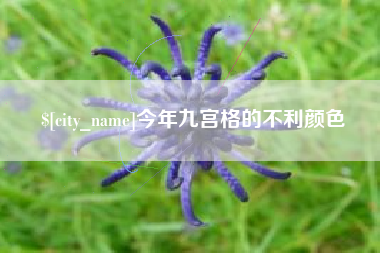 黔东南今年九宫格的不利颜色