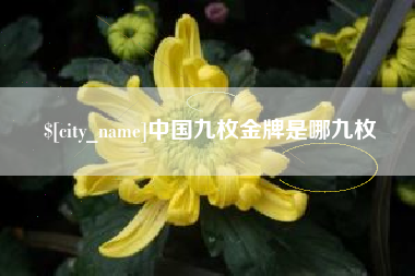黔东南中国九枚金牌是哪九枚