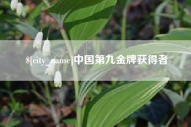 黔东南中国第九金牌获得者