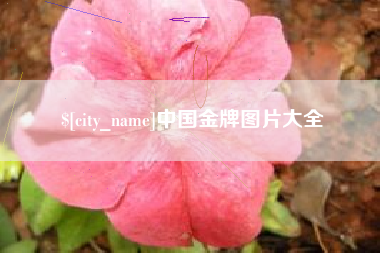 黔东南中国金牌图片大全