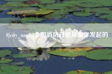 黔东南全国消防日是从哪年发起的